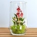 Tiny Red Dancing Lady Orchid Terrarium in Repurposed Vase