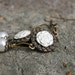 White Rose & Pearl Dangle Earrings