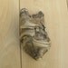 Natural Driftwood Drift Wood from Lake Erie