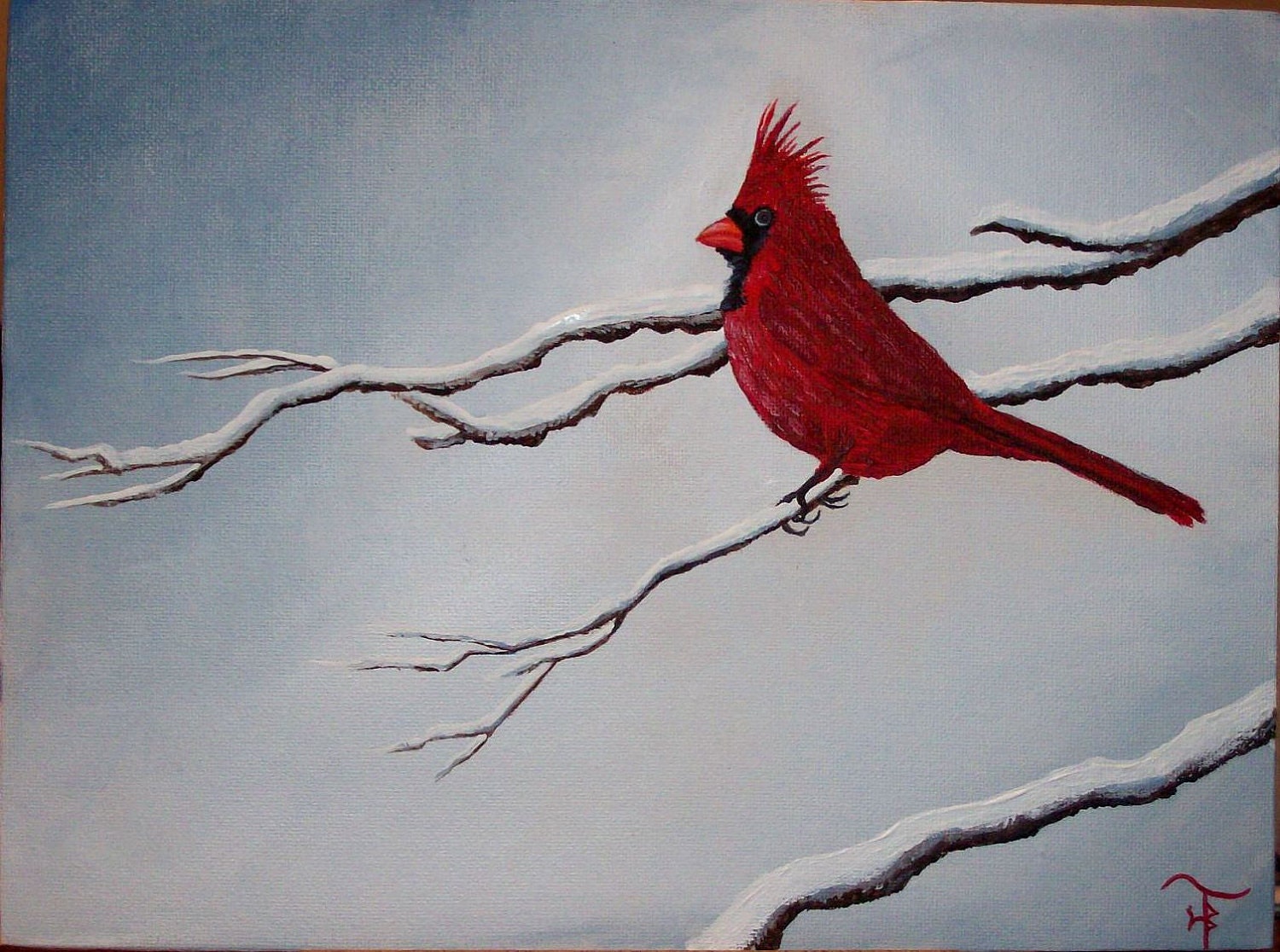 Cold Cardinal Bird in the snow on Branch Minimalist by Ysssk71