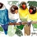ACEO Limited Edition 10/10, Last print- Happy Hour, in watercolor