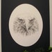  Bald Eagle Pencil Drawing with Mat by purpleinkgraphics on 