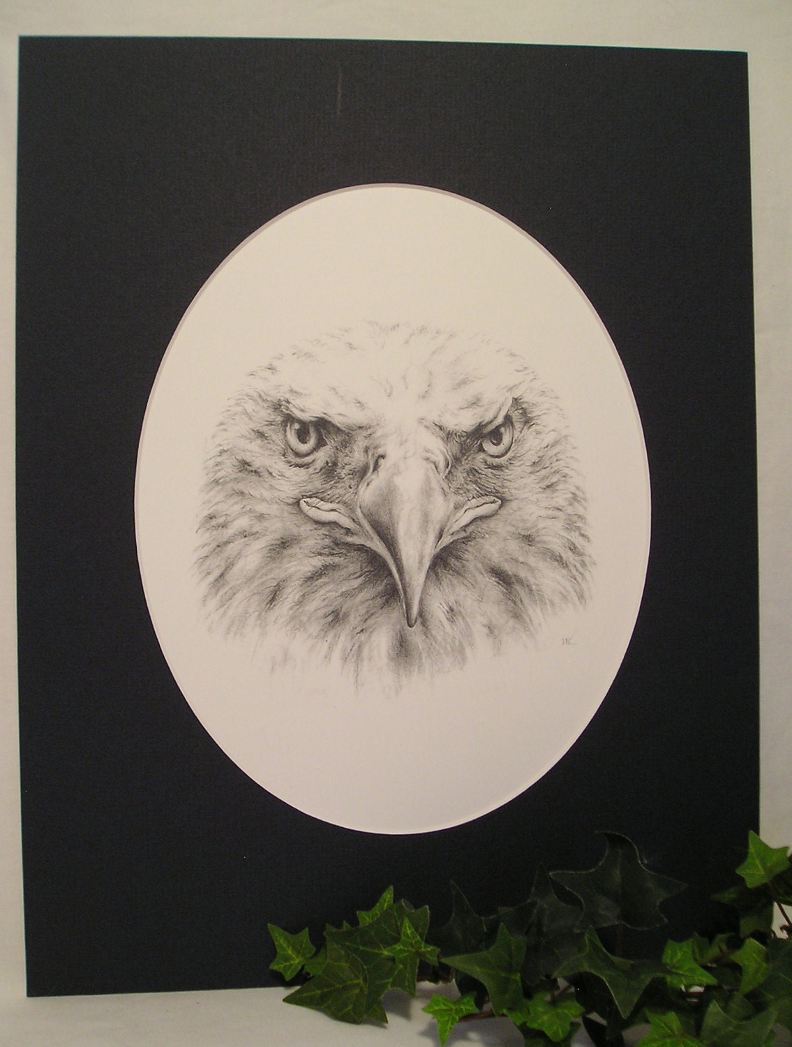  Bald Eagle Pencil Drawing with Mat