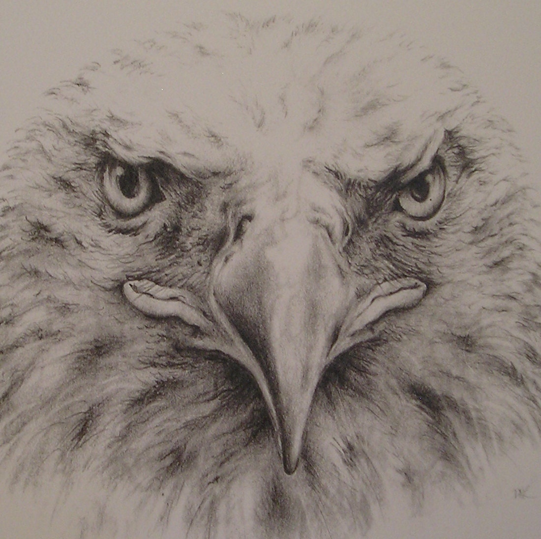 Bald Eagle Pencil Drawing with Mat