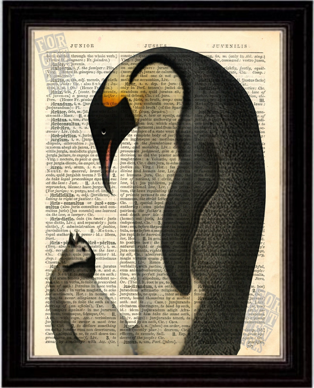 Emperor Penguin and Chick Print on Upcycled 1896 Latin