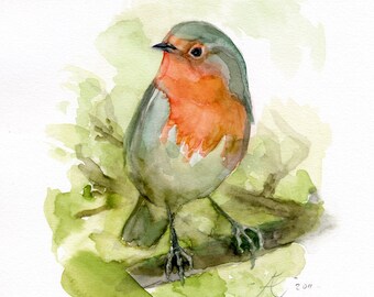 Red Robin Painting,Fine art / Giclee print of the original watercolor painting, bird painting, bird lovers gift