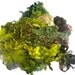 Leicester Longwool Fleece Hand Dyed Forrest Green colors