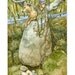 Pack of 6 cards and envelopes. Spring Watch.