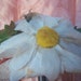HOLD FOR SUSAN Child's Vintage Hat with Daisy