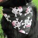 Pirate with Pink Bow - Dog Bandana (with Collar Tunnel) XXL