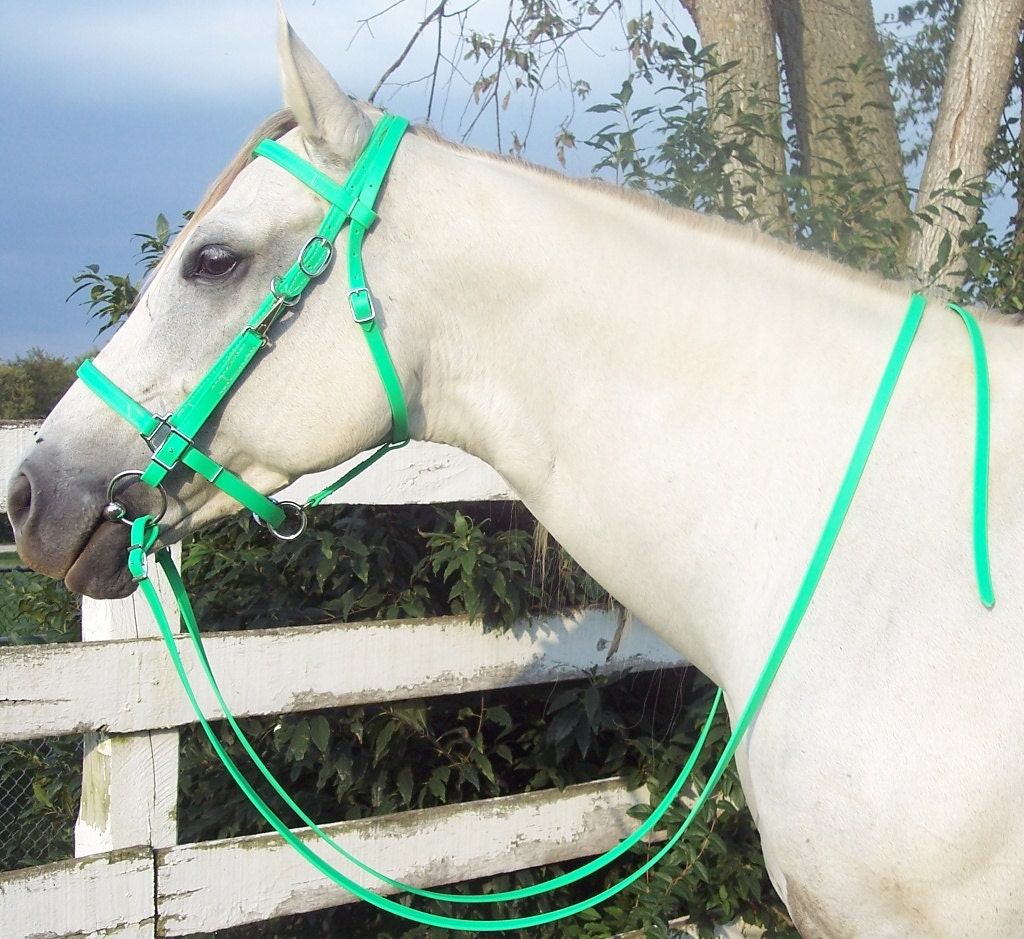 Any Size Lime GREEN Horse Halter Bridle Combo & Reins by nar0402