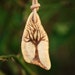 Fallow Deer Antler, Pyro Celtic Tree of Life Pendant on Natural Leather.