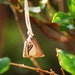 Fallow Deer Antler - Pyro FEHU Rune Pendant on Natural Leather.
