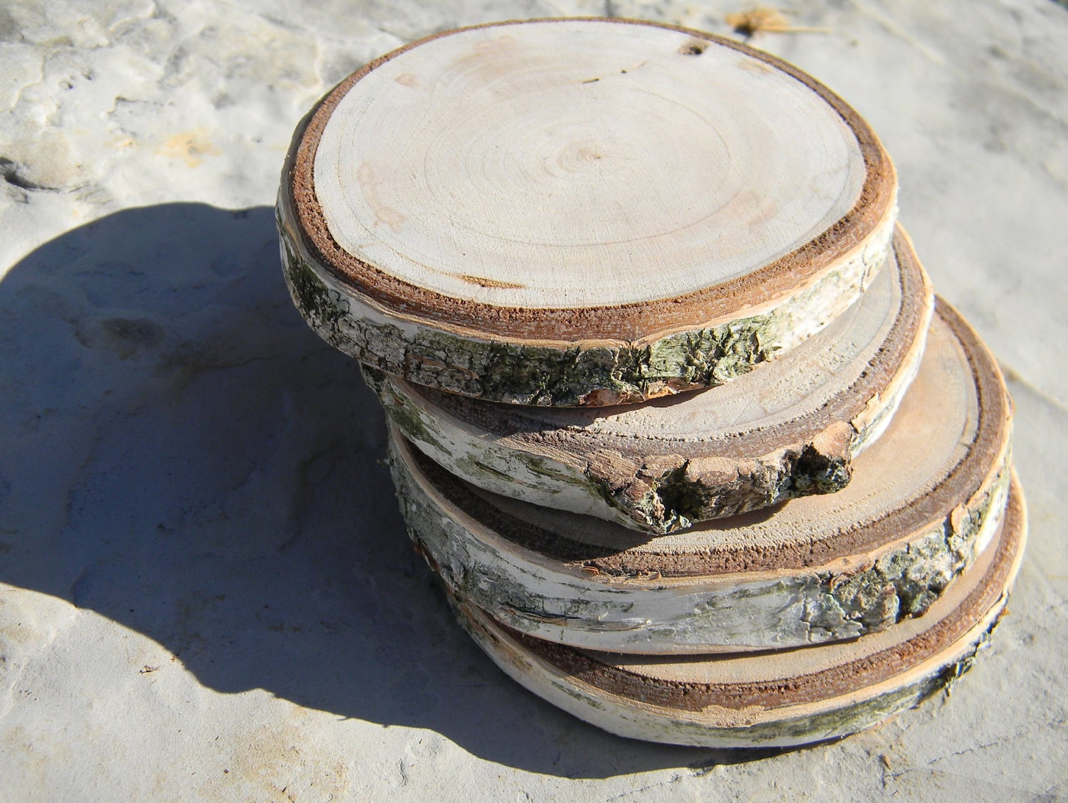 White Birch Wood Coasters Handmade set of four