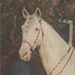 Charles Starrett and Raider - Vintage 1940s Hollywood Promo Sheet With Horse