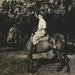 My Old Friend - Vintage 1930s Horse and Equestrienne Photograph