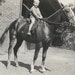 Billy & Blaze - Vintage 1930s Horse Photograph