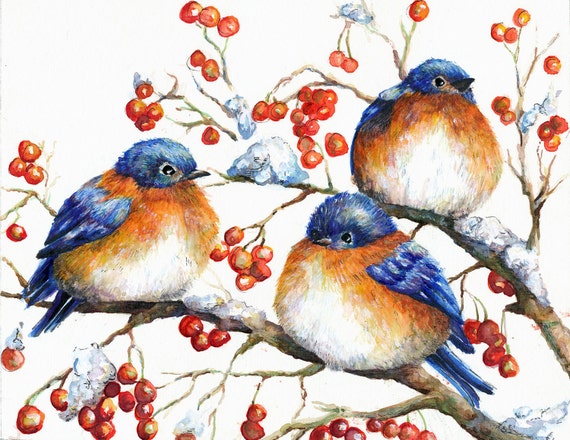 Items similar to Bluebird Christmas/Winter Card (Box of 12 cards) on Etsy