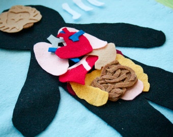 Human Anatomy Felt Set - Science Toy - Educational Felt Story - Flannel Board - Child Life - STEM