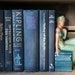 Black and Blue Vintage Books Instant Collection, Old Novels, Retro Library, Photography Prop