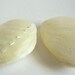2 real shell beads 47mm (last two)