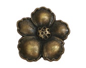 2 Hibiscus 7/8 inch ( 23 mm ) Metal Buttons Antique Brass Color