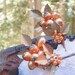 Decorative Woodland Rustic Coral Pearl Hairpins Bobby Pins, West Germany