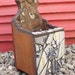 Mosaic letter box