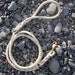 Repurposed Fishing Rope Dog Leash
