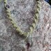 Hemp Necklace with purple cats eye and glass tear drop mushroom
