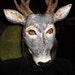 Masquerade mask Paper mache papier mache deer mask animal head mask