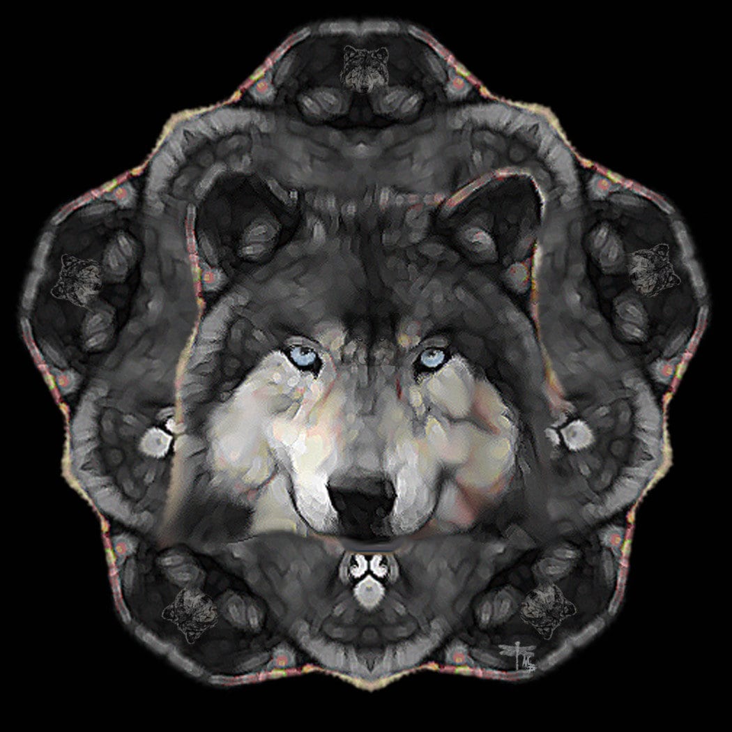 Whats Your Power Animal Shamanic Journey And Ceremony To