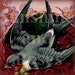Birds with Pink Flowers Banner and Avatar