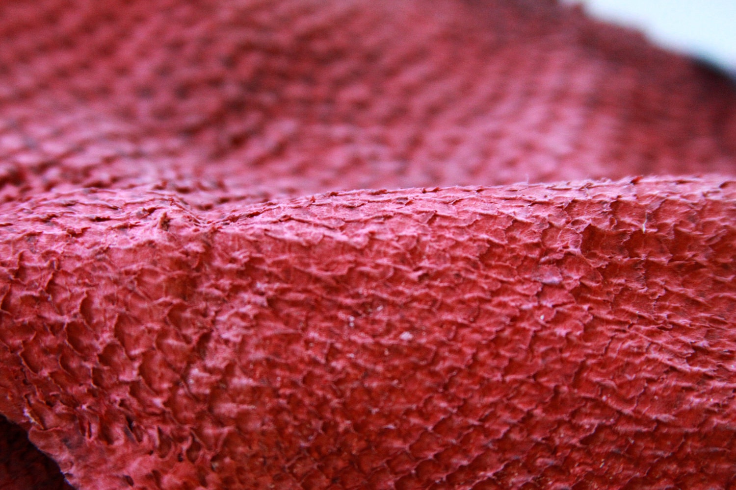 Raspberry Fish Leather Salmon Fishskins are Eco by FineLeathers