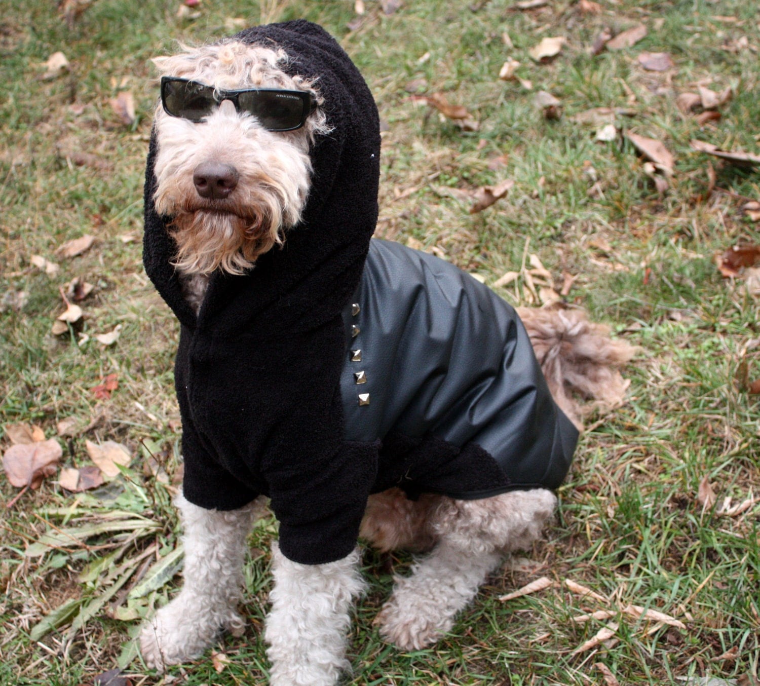 Big Dog Faux Leather Studded Punk Jacket