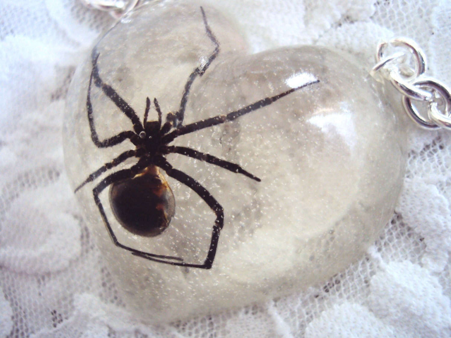 Real Black Widow Spider Clear Heart Resin Pendant & Silver