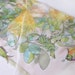 Hand painted Square silk scarf Sea of Roses Pastel green yellow floral fishes