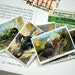 Famous Trains Presentation Pack - Royal Mail Mint Stamps 1985
