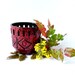 Vintage planter West German pottery red black brutalist 70s Scheurich gardening spring garden plant succulent