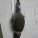 tribal natural crueltry free feather earring with dyed howlite chunk