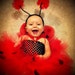 Lady Bug Costume, Birthday outfit, Halloween Costume, ladybug
