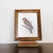 Vintage Owl Print in Wooden Frame - Home Decor - Man Cave - Wall Hanging - Harry Potter - Cottage Style - Natural History - Halloween