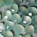 Light Seafoam Green Chalcedony Faceted Briolettes 9mm to 12mm