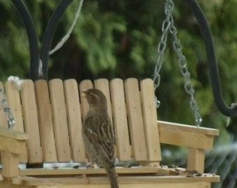 Father's Day, Swing Bird Feeder, Rustic Feeder, House Warming Gift, Seed Feeder, Retirement Gift, Grandparents Gift