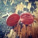 Mens cufflinks Penny coin 2011 one cent cuff links copper silver cuff-links men gift cufflink groomsmen