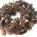 Seed Savers Autumn Wreath Pod & Pinecone Holiday Door Wreath