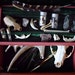 30% off: "The Huntsman" cabinet of curiosities. Feather, antler, claws, bones, fossil, pyrite, quills.
