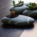 engraved beach stone flower planter - zen garden