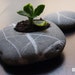 zen garden pottery - beach stone flower planter - pebble home decor