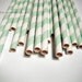 20 Green Striped Straws Drink Flags Party Favor Decoration Retro Soda Light Mint Green